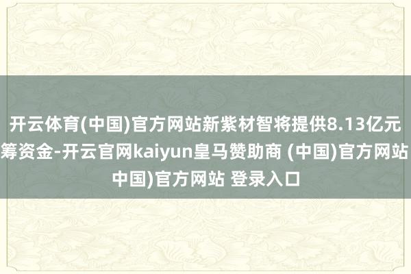 开云体育(中国)官方网站新紫材智将提供8.13亿元自有或自筹资金-开云官网kaiyun皇马赞助商 (中国)官方网站 登录入口