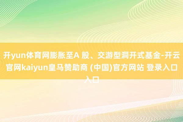 开yun体育网膨胀至A 股、交游型洞开式基金-开云官网kaiyun皇马赞助商 (中国)官方网站 登录入口