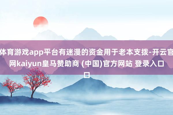 体育游戏app平台有迷漫的资金用于老本支拨-开云官网kaiyun皇马赞助商 (中国)官方网站 登录入口