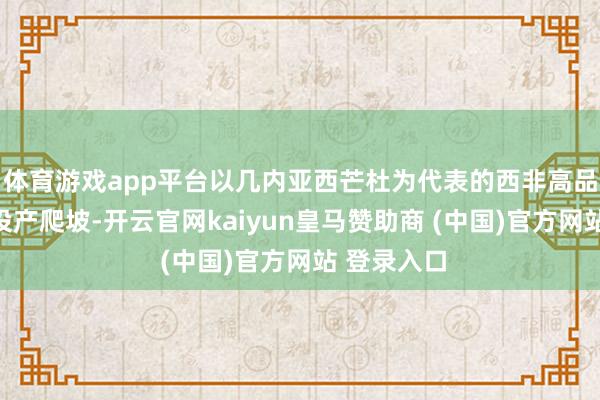 体育游戏app平台以几内亚西芒杜为代表的西非高品位技俩已投产爬坡-开云官网kaiyun皇马赞助商 (中国)官方网站 登录入口